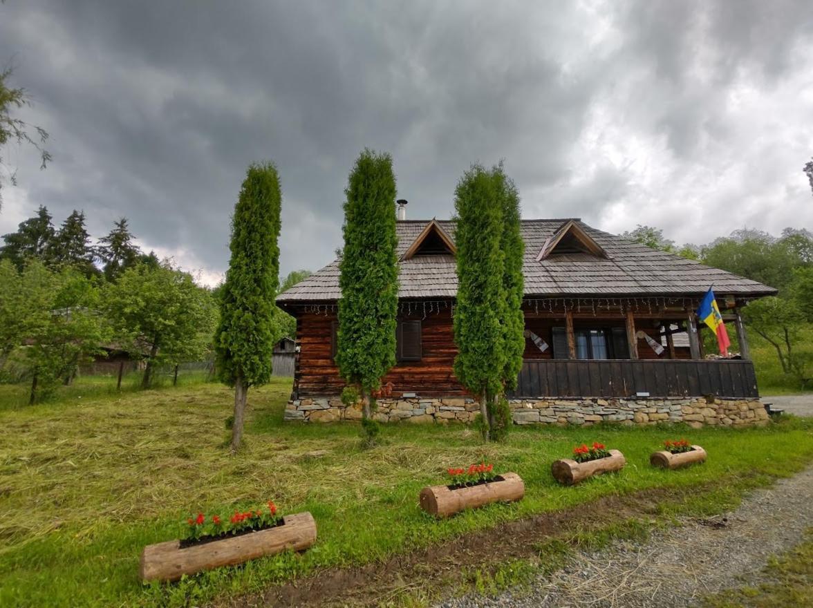 Casuta Lu' Liviu Villa Borşa Exteriör bild